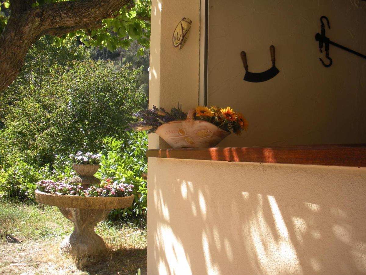 Bed and Breakfast Lou Mas dau Paigran à Saint-Blaise  Extérieur photo